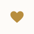 Charity Icon